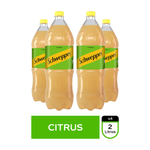 Ficha_Citrus_packx4_2L_2000x2000