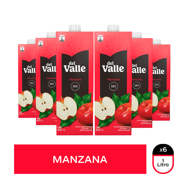 Del-Valle-Manzana-Tetra-1L-x6