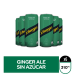 GINGER-SA-310-x6