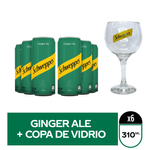 GINGER-310-x6-copa